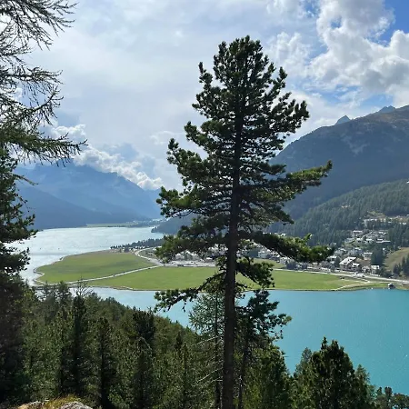 Apartamento Chesa Munteratsch 1 1 2-zimmerwohnung 204 Typ D Silvaplana