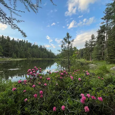 Chesa Munteratsch 1 1 2-zimmerwohnung 204 Typ D Apartamento Silvaplana