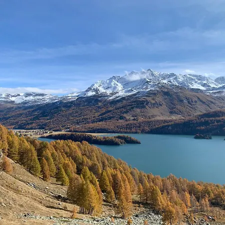 Chesa Munteratsch 1 1 2-zimmerwohnung 204 Typ D Apartamento Silvaplana