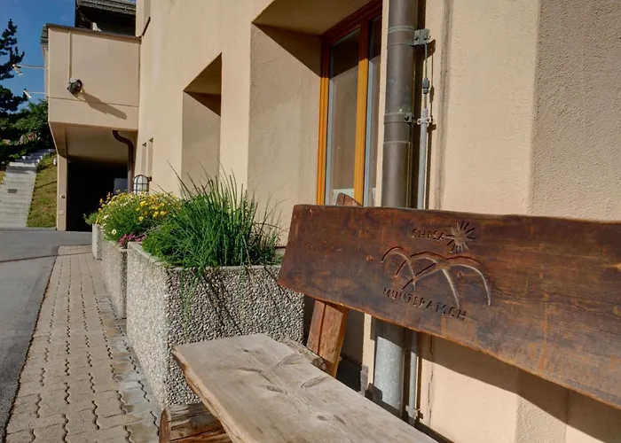 Appartement Chesa Munteratsch 1 1 2-zimmerwohnung 204 Typ D