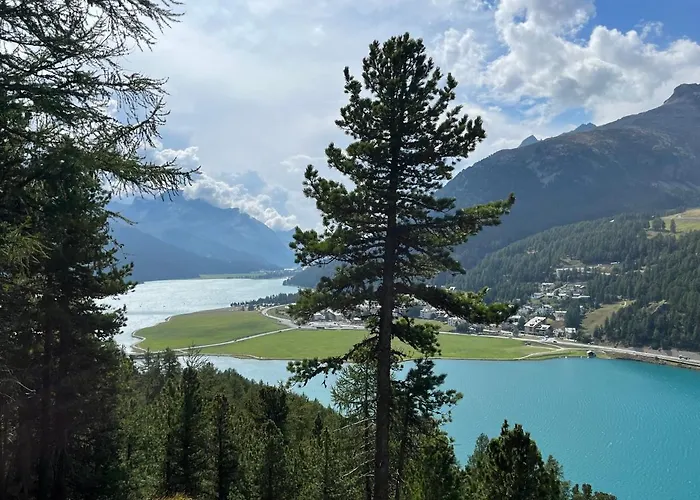 Appartement Chesa Munteratsch 1 1 2-zimmerwohnung 204 Typ D Silvaplana