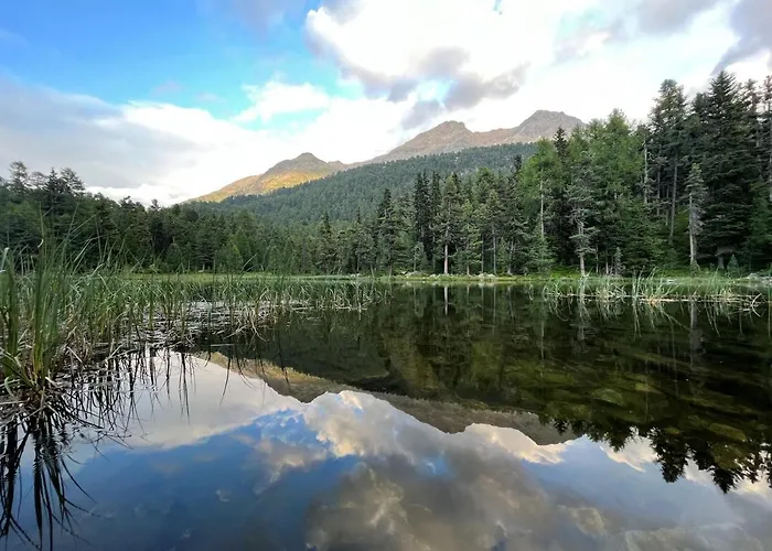 Chesa Munteratsch 1 1 2-zimmerwohnung 204 Typ D *