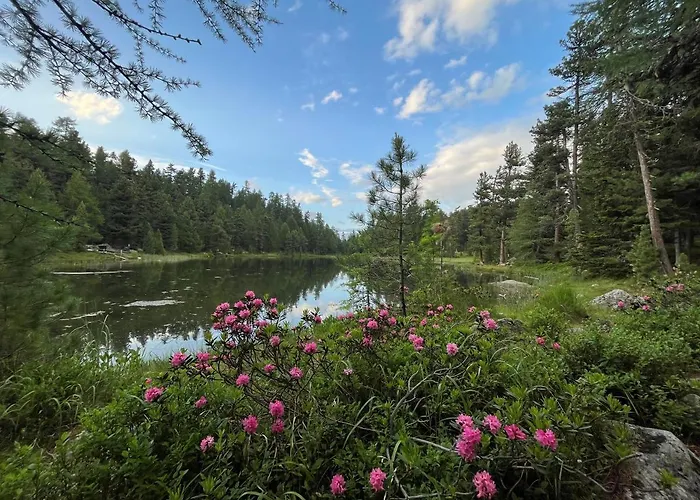 Chesa Munteratsch 1 1 2-zimmerwohnung 204 Typ D Appartement Silvaplana