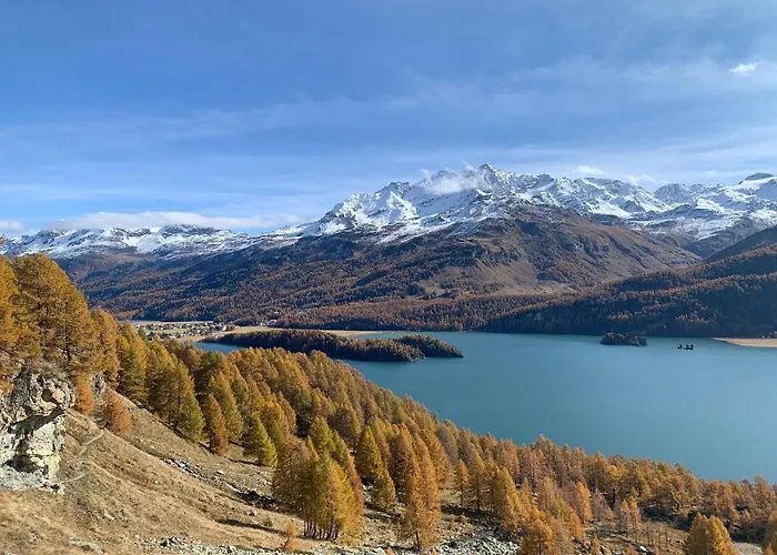 Chesa Munteratsch 1 1 2-zimmerwohnung 204 Typ D Appartement Silvaplana