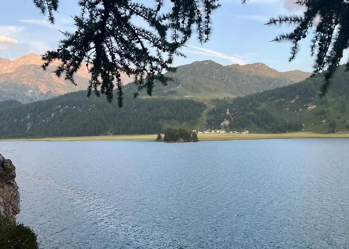 Chesa Munteratsch 1 1 2-zimmerwohnung 204 Typ D